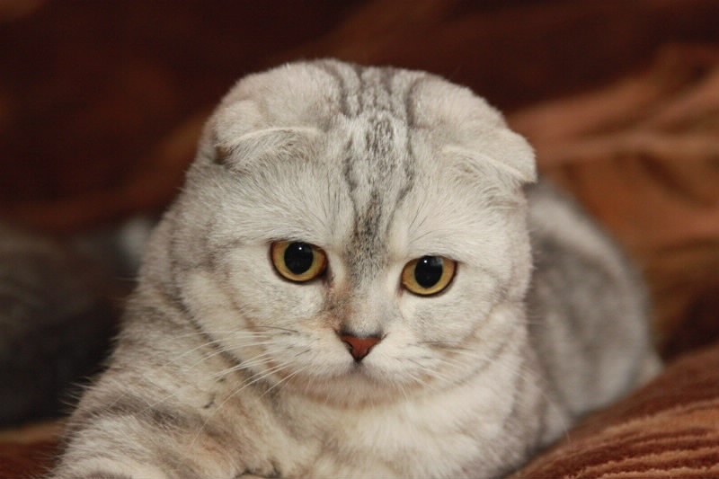 920