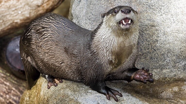938